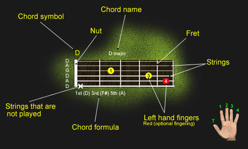 Labeled Diagram of guitar neck